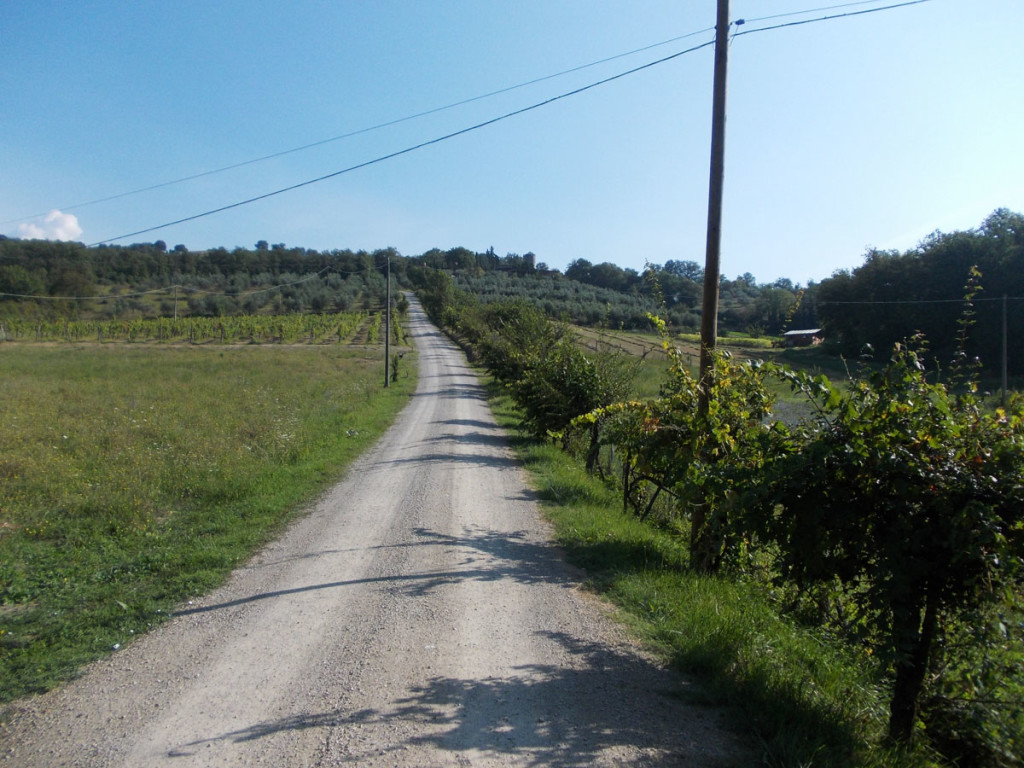 strada_per_agriturismo_corzano