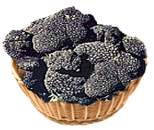 tartufoneromugello