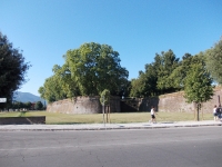 Lucca