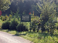 agriturismo_corzano