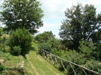 dsc00059