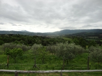 dsc00210