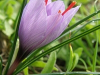 pb090552