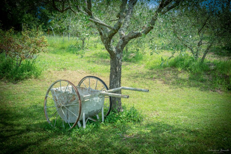 Agriturismo_Corzano_14