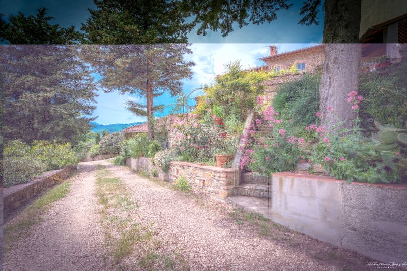 Agriturismo_Corzano_41