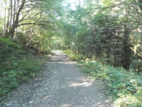 romana-flaminia-corzano-3