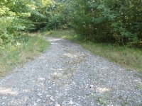 romana-flaminia-corzano-5